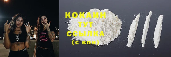 прущие грибы Карпинск