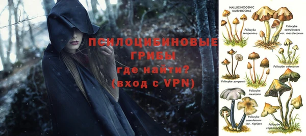 ГАЛЛЮЦИНОГЕННЫЕ ГРИБЫ Киреевск