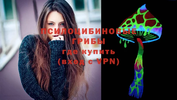 шишки Кинешма