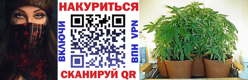 Купить где  Жуков  МАРИХУАНА планчик 